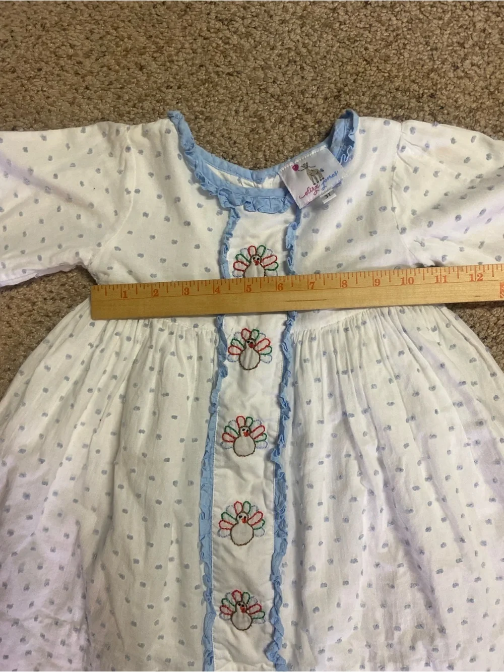 Eliza James Thanksgiving dress embroidered turkey swiss dots 3T girls Toddler